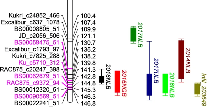 TheorApplGenet's tweet photo. Genetic mapping using a wheat multi-founder population reveals a locus on chromosome 2A controlling resistance to both leaf and glume blotch caused by the necrotrophic fungal pathogen Parastagonospora nodorum: https://t.co/GYMvoit9Lj @james_f_cockram @karchuntan https://t.co/dleOGP0ryx