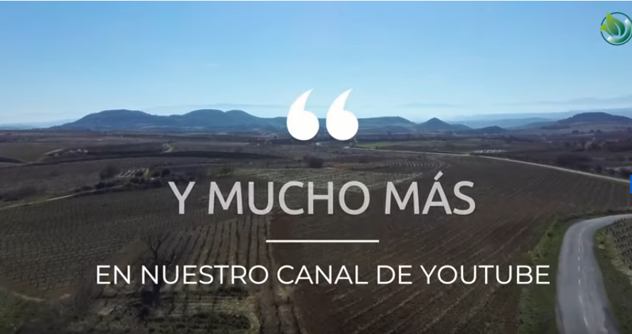 Agrovidar's tweet photo. HEMOS PASADO DE 1000 SUSCRIPTORES EN NUESTRO CANAL DE YOUTUBE!
Nos llena de ilusión que tanta gente nos siga por este medio.
Todavía no nos sigues tú?  Charlas muy interesantes, con lo mejor de la Agroecología en España, proyectos interesantes y mucho más
https://t.co/leVI2ZKr8K https://t.co/PwOz8l3T7m