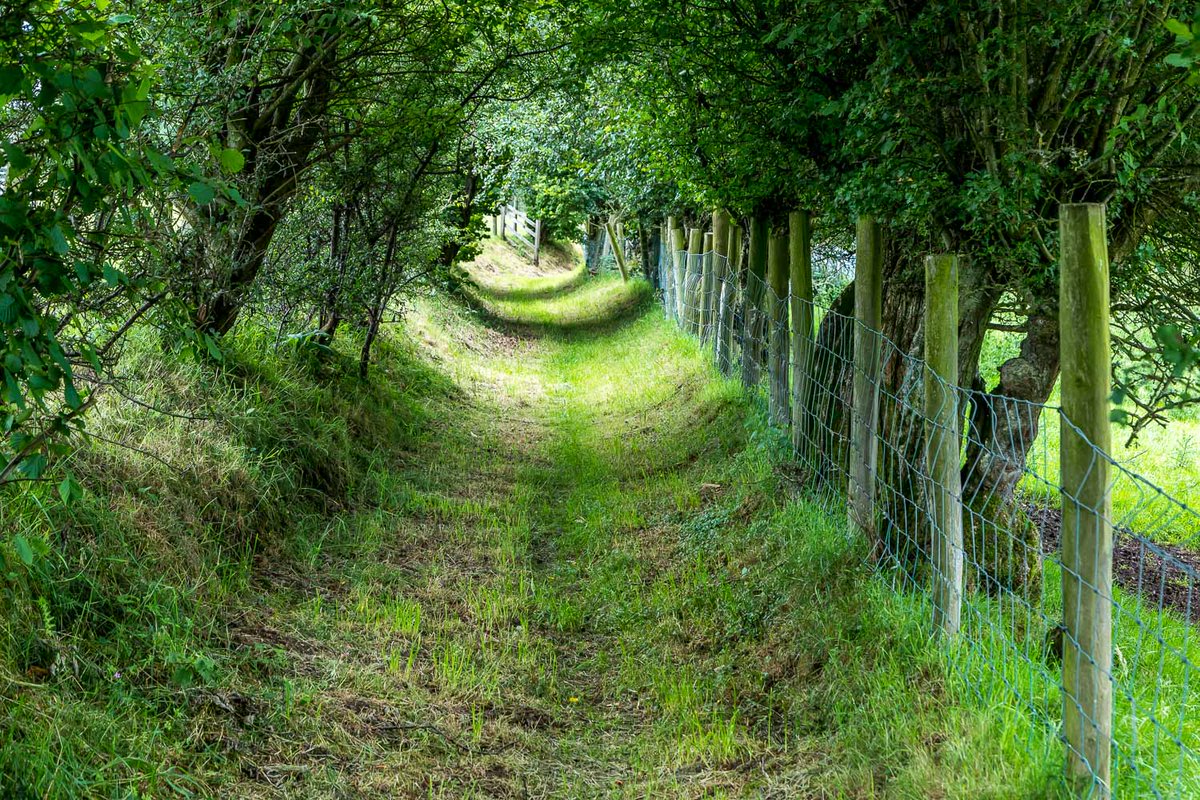 andrewswalks's tweet photo. More tempting paths... https://t.co/GZhd0xm5LJ