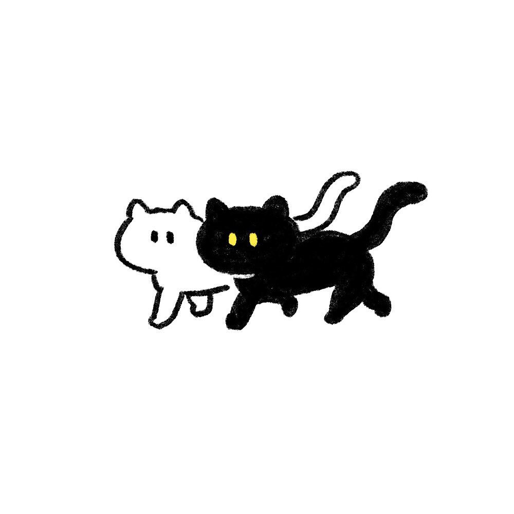 black cat cat simple background no humans white background animal . .  illustration images