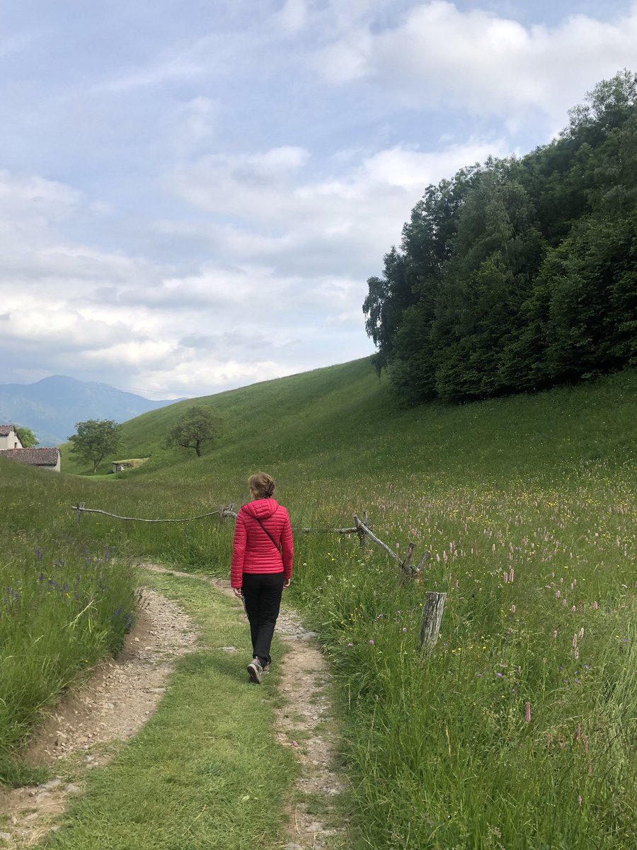 _massimomauri's tweet photo. Libertà è camminare fra i prati, nei propri pensieri. Libertà è. #2giugno #pratidigiugno #PratidiNava #Pasturo #Grigne #Valsassina #montagnedicasa #LagodiComo #alpinemeadows #freedom #landscapephotography https://t.co/PYr7dqQhYQ