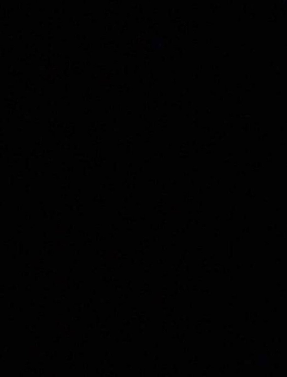 Tilley Peacock (@peacocktilley) on Twitter photo 