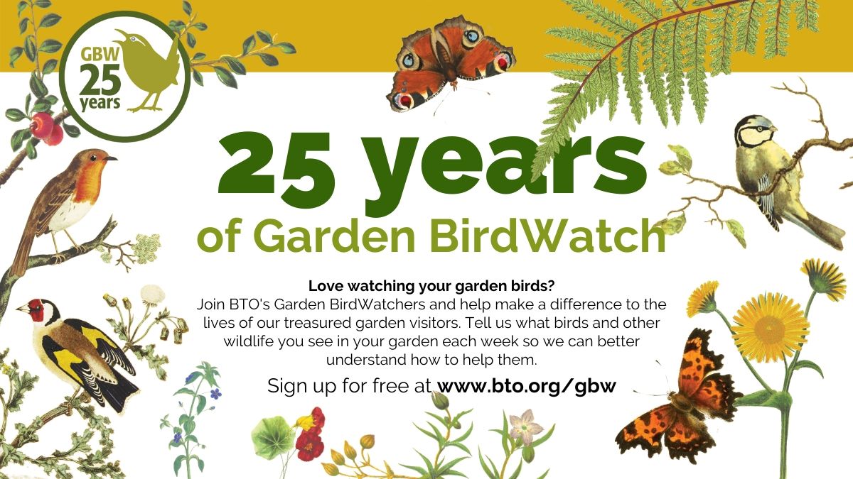 Join BTO Garden BirdWatch for free and tell us which species visit your garden each week. Your sightings will help us to understand how populations of garden birds are changing, and how we can help them. 
bto.org/gbw

#GardenBirdWatch #BreakfastBirdWatch 
<a href="/BTO_GBW/">BTO Garden BirdWatch</a>