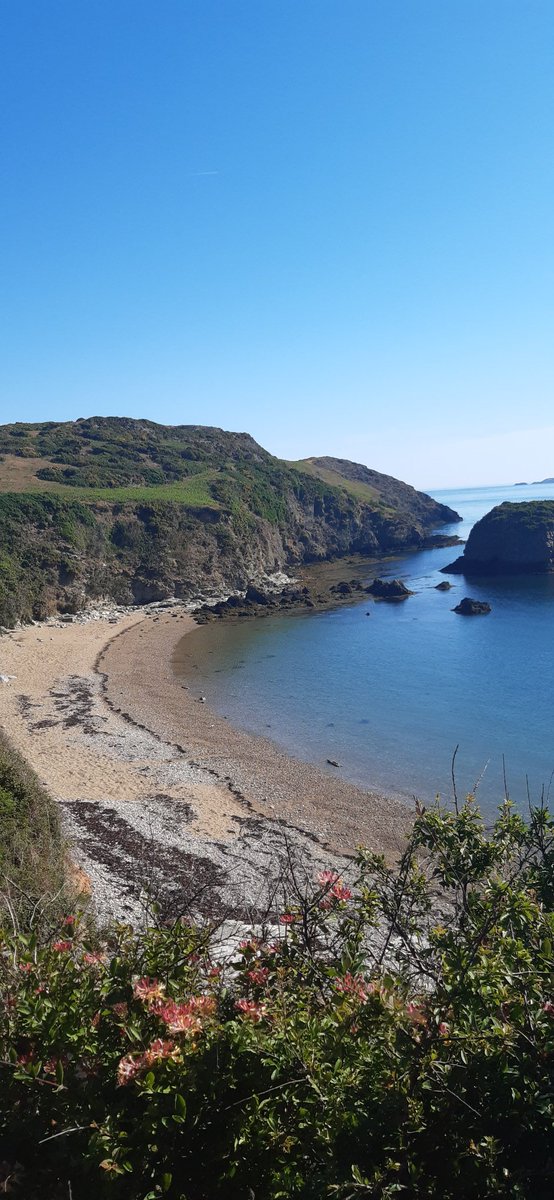 muliernatura's tweet photo. Over 2 months of lockdown and this sight has made me cry!
#sohappyrightnow
#longoverdue
#paradise
#mylocalarea https://t.co/bDI7KQ1Kxf