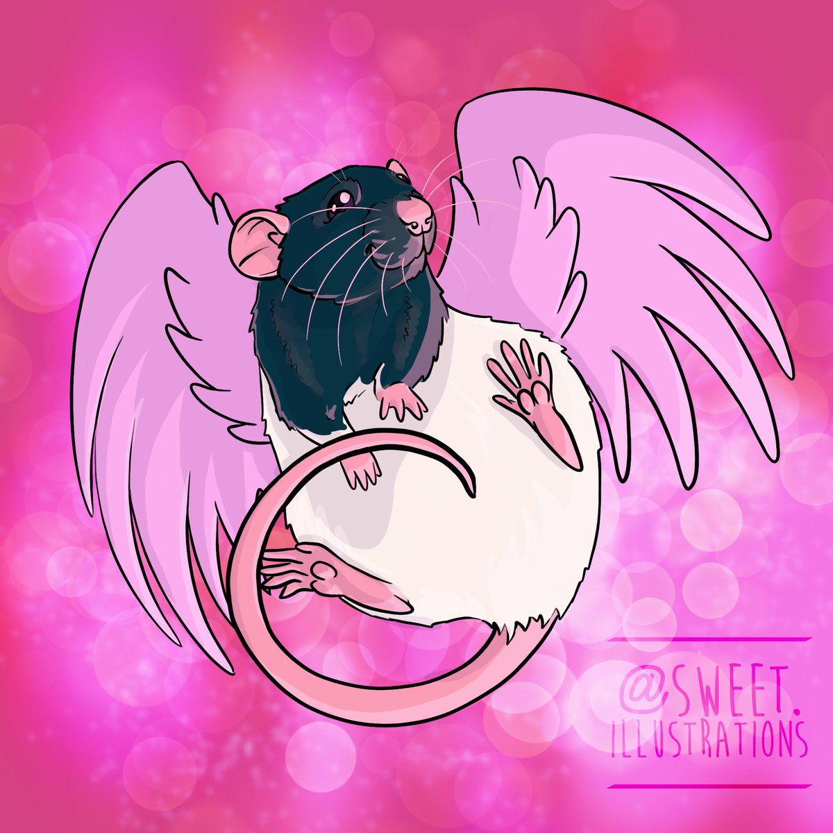 Hello Pip! #artistsontwitter #petrats