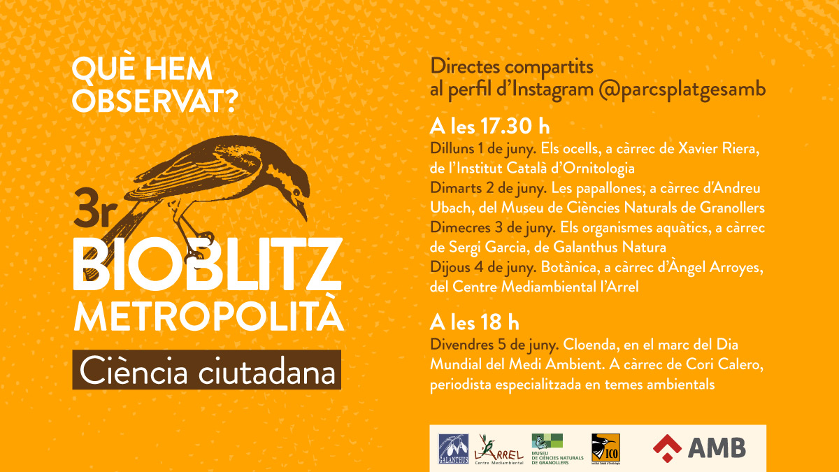 SantJustFestes tweet media