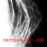 davidfankhauser's tweet image. Just released an update of remove.bg including some significant improvements to the AI 😀