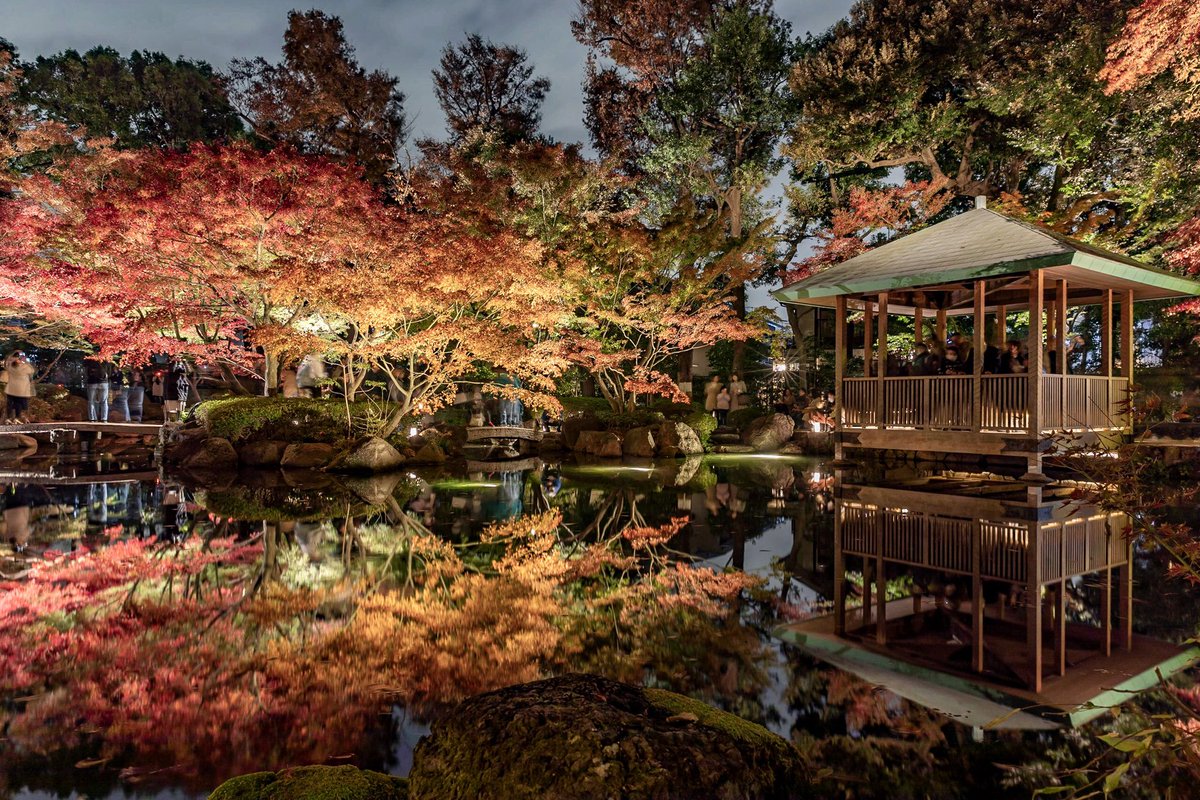Canonyama's tweet photo. 久しぶりの写真投稿。
過去に撮影したやつ。 https://t.co/kNUPScv4iZ