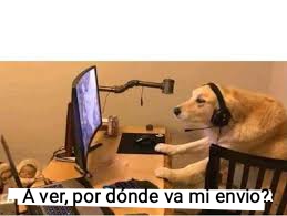 elcosodelapizza's tweet photo. Yo a los 15 minutos de que me compro algo por internet https://t.co/0wGFHxWUuy