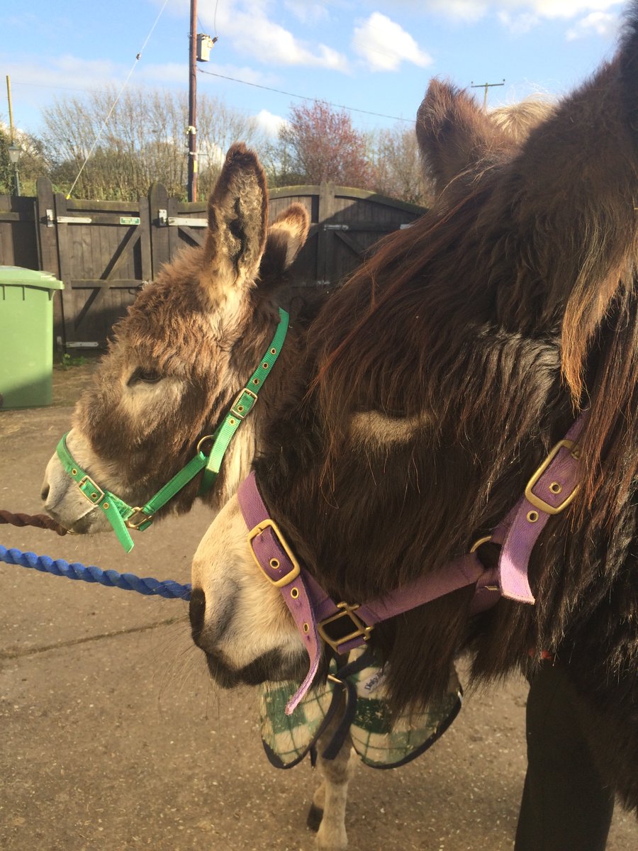 Alastair Stewart tweet media