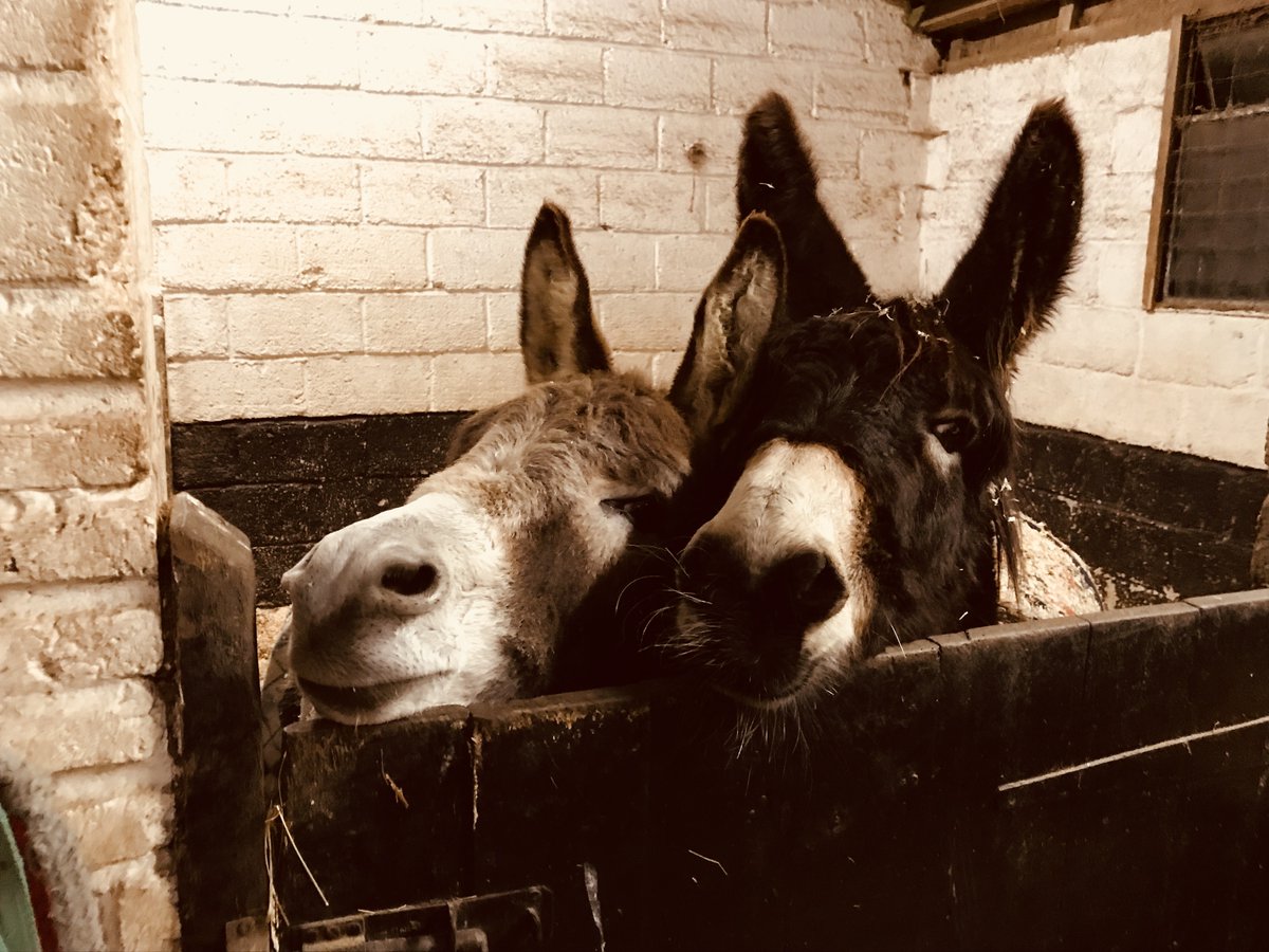 Alastair Stewart tweet media