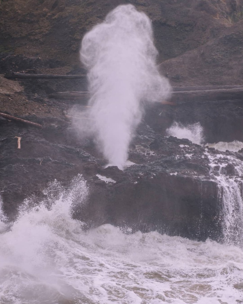 ericmuhr's tweet photo. Life-like #SpoutingHorn #CapePerpetua #Yachats #LincolnCounty #Oregon #OregonExplored https://t.co/AK3ozcv4kW https://t.co/wEUcNEYDmH