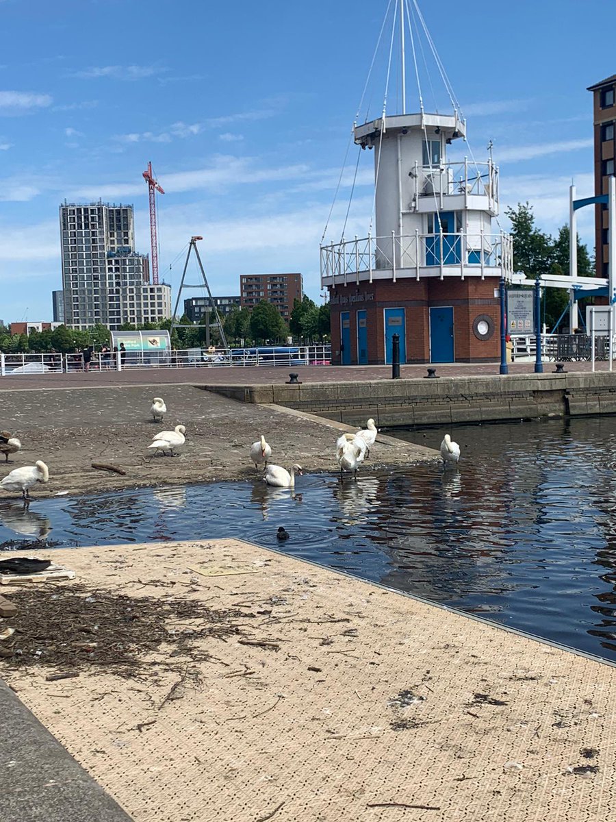 The sun is shining & we have 3 #teams out today across #Manchester 👍 Verity &Tonie are currently in #SalfordQuays chatting to young people about #WaterSafety & #covid19guidelines 😊 @wuu2salford @GMPSalford @salford_mayor @SalfordCouncil