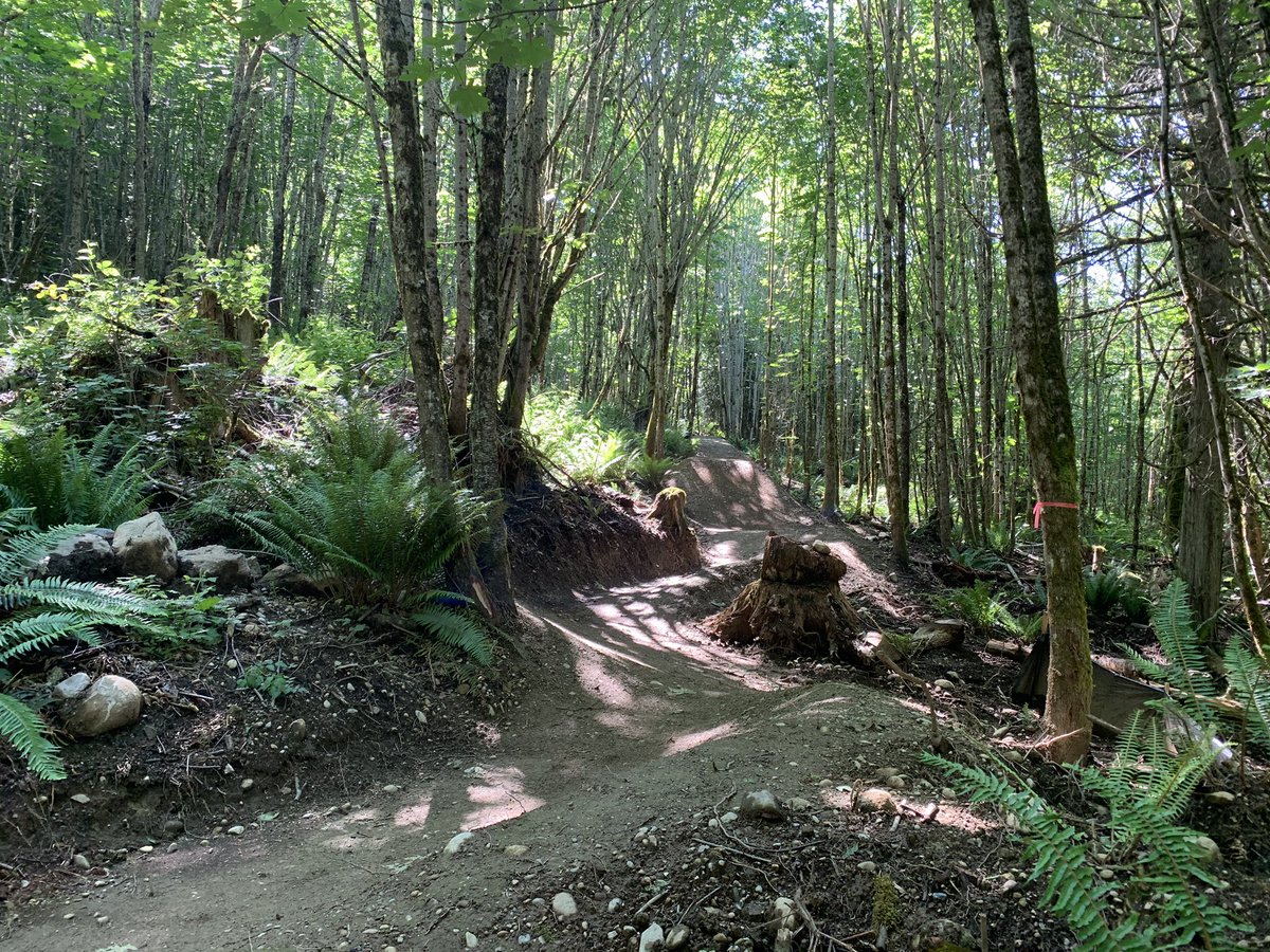 SkagitCycle's tweet image. New advanced jump trail is coming along nicely! Can’t believe this is happening at #Littlemountainpark