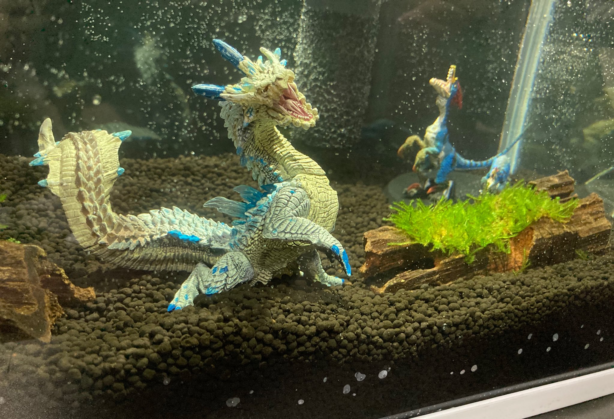 金獅子 モンハン水槽の初日 一旦フィギュアは取り出して放置 バクテリアが定着したらエビちゃんと水草を投入や 金獅子 モンハン水槽の初日 一旦フィギュアは取り出して放置 バクテリアが定着したらエビちゃんと水草を投入や
