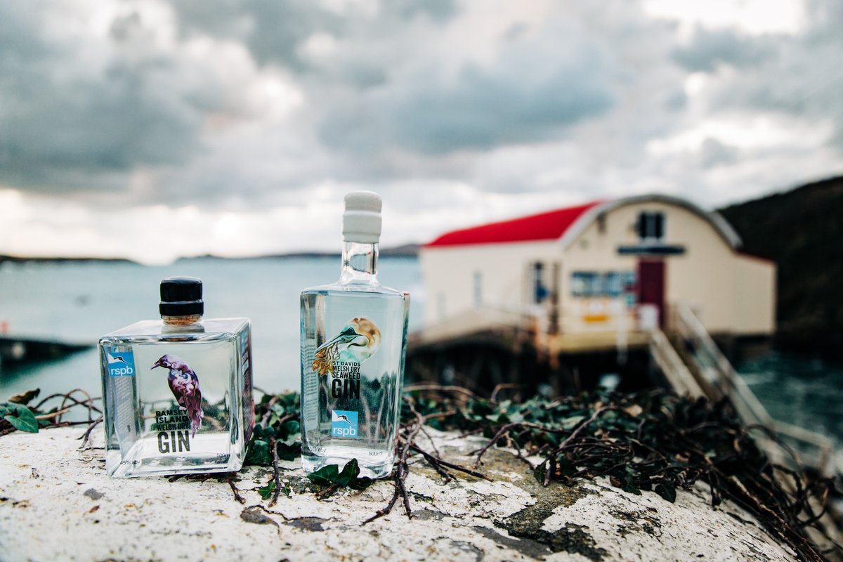 St Davids Gin tweet media