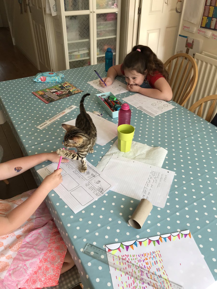 Michelle Ling tweet media