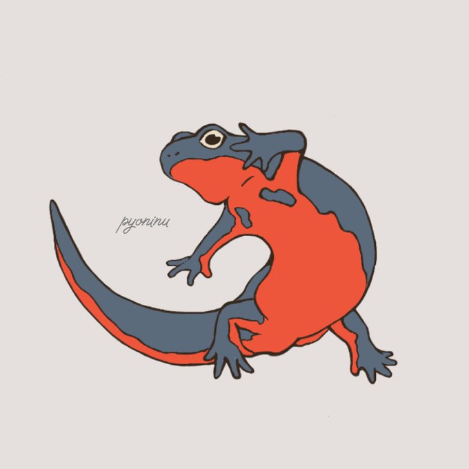 アカハライモリのtwitterイラスト検索結果 古い順