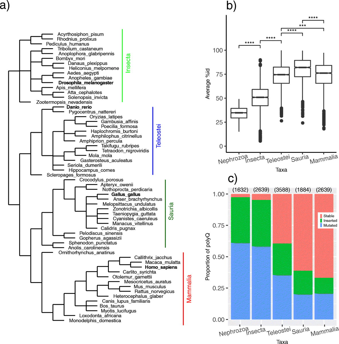 ensembl's tweet photo. Region stability is critical for features of #polyglutamine regions, while some features are taxa-specific
#CitedEnsembl @BMC_series https://t.co/9dizOZtuUu
#evolution #polyQ https://t.co/nRRJRzIS9E