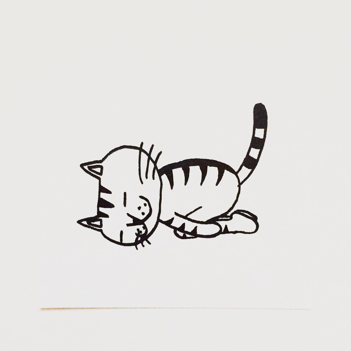 肌子 على تويتر 今日のイラストはコレ ｪ ヨガのチャイルドポーズをしている猫 イラスト 猫 ネコ ねこ オリジナル ペン画 アナログ画 絵 猫の絵 白黒猫 キジトラ猫