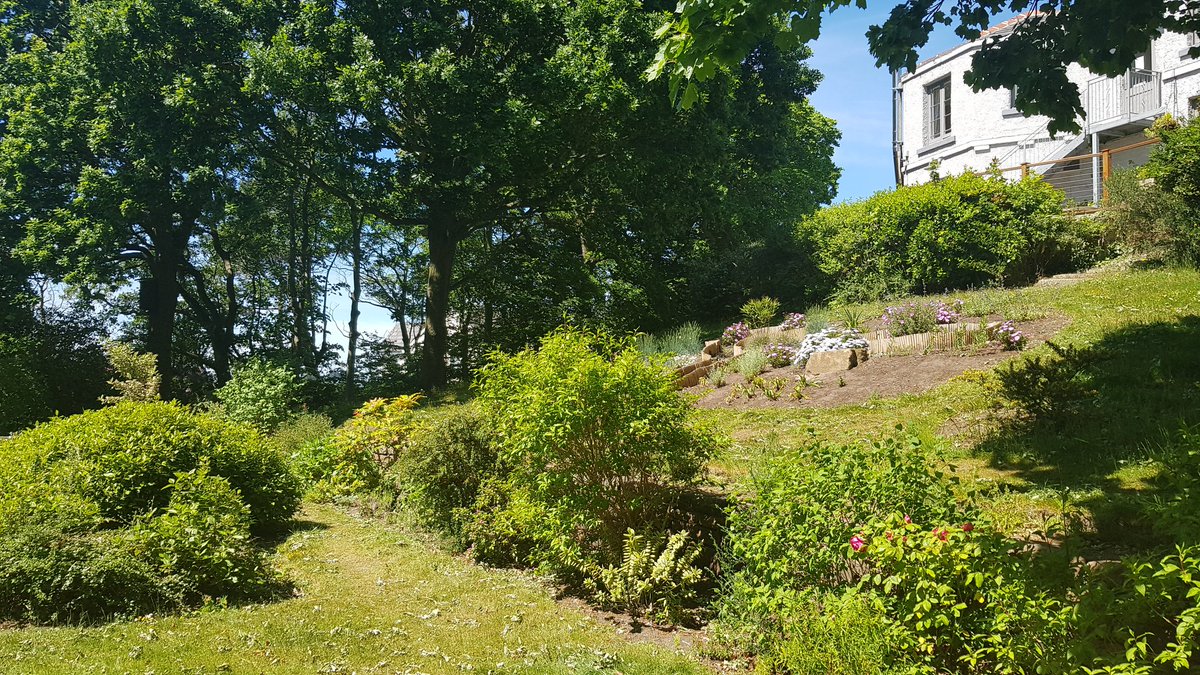 Starting to plant up the vegetable raised bed at Hill House along with strawberries and eventually edible flowers <a href="/ActionOnWirral/">Community Action Wirral</a> <a href="/WirralLibraries/">Wirral Libraries</a> @GordaleNursery <a href="/heswallmagazine/">Heswall Magazine</a> <a href="/Japes21/">Jean-Paul</a> <a href="/HeswallHall/">Heswall Hall</a>