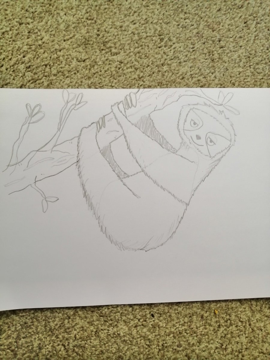 Today's #homeschool activity: learning how to draw a sloth! 🌿 youtu.be/MS67FSuZrqY for this awesome tutorial from <a href="/CalvinInnes/">Calvin Innes</a>
