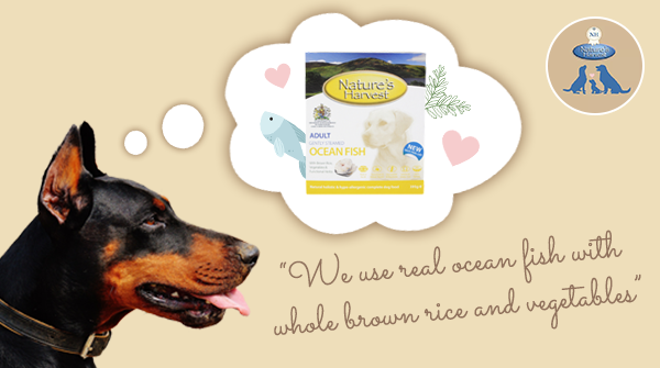 NHPetfood's tweet photo. Nature’s Harvest gently steamed complete food for adult dogs made with ocean fish &amp; brown rice  🐾

🐟 We use real ocean fish with whole brown rice and vegetables

✔️ No artificial flavours, colours or preservatives 

#tuesdaythoughts #dogsoftwitter #NaturesHarvest #FriendsofNH https://t.co/nwrI63Cul5