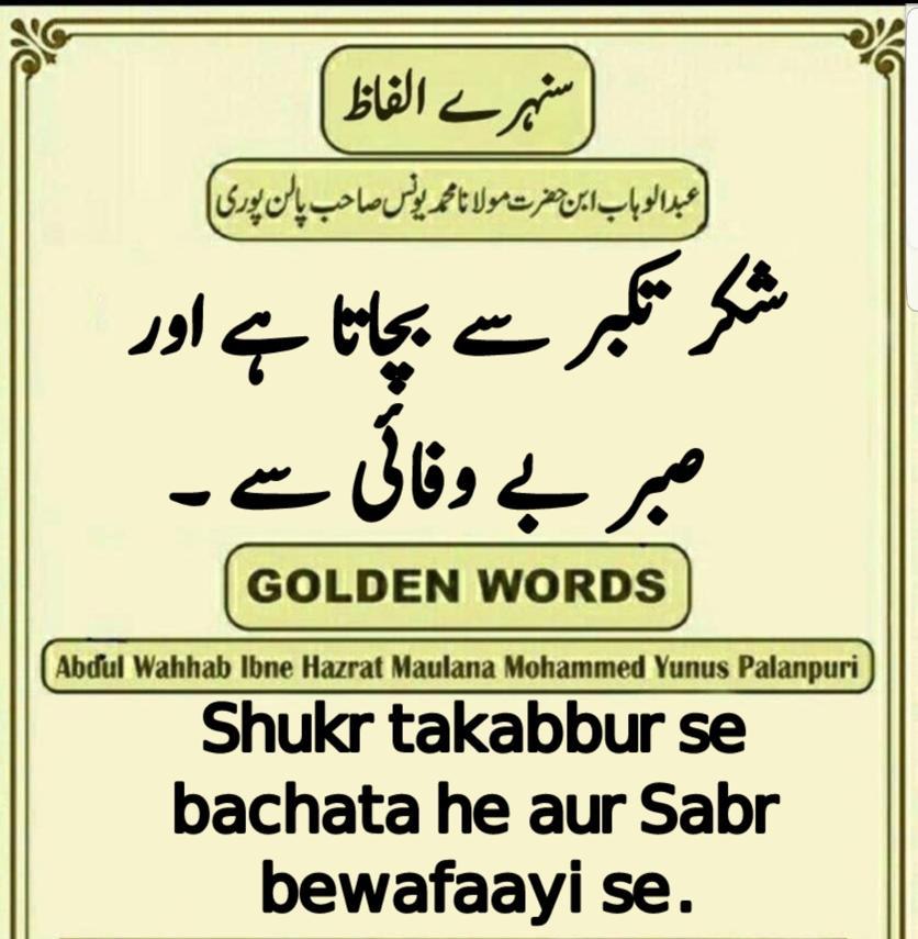 dashingashfaq's tweet image.