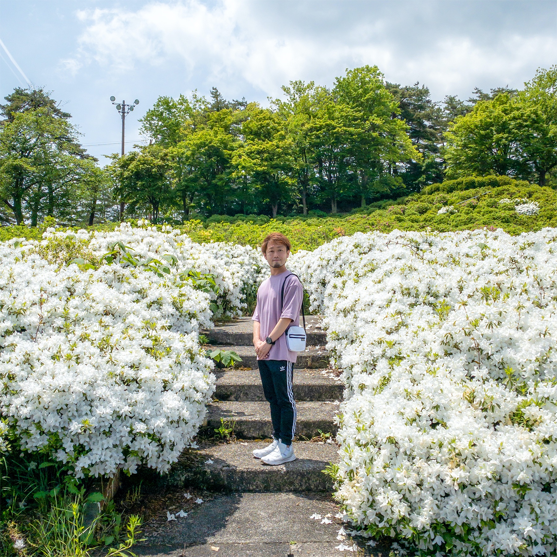 寒河江公園つつじ園 Twitter Search Twitter