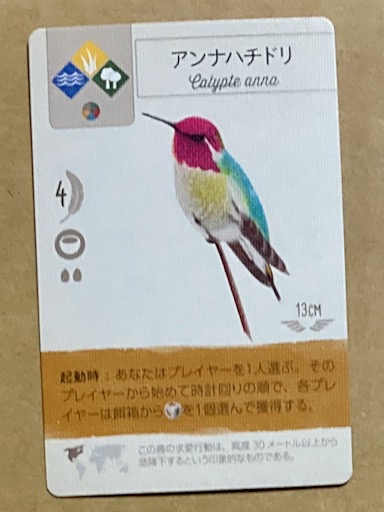 Osabeya ノドアカハチドリ アンナハチドリ アマツバメ目ハチドリ科 北米に行ったら見ておきたい ノドアカは米東部 アンナは西海岸 ノドアカはわずか3gだが 冬は太ってメキシコまで渡る ゲームではプレーヤー間を飛び回り餌を振るまう
