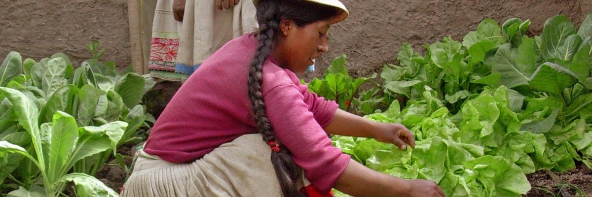 Para salir con más justicia y equidad: 
📢4 jun 12h Presentación de #AlimentODS, con <a href="/prosalus/">คุณชื่ออะไร</a> y <a href="/ecodes/">ECODES</a> ✍️ bit.ly/2Xg7SkJ
📢4 jun 16h Beijing +25 La igualdad de género para la (re) construcción de un mundo sostenible. 
✍️register.gotowebinar.com/register/66743…