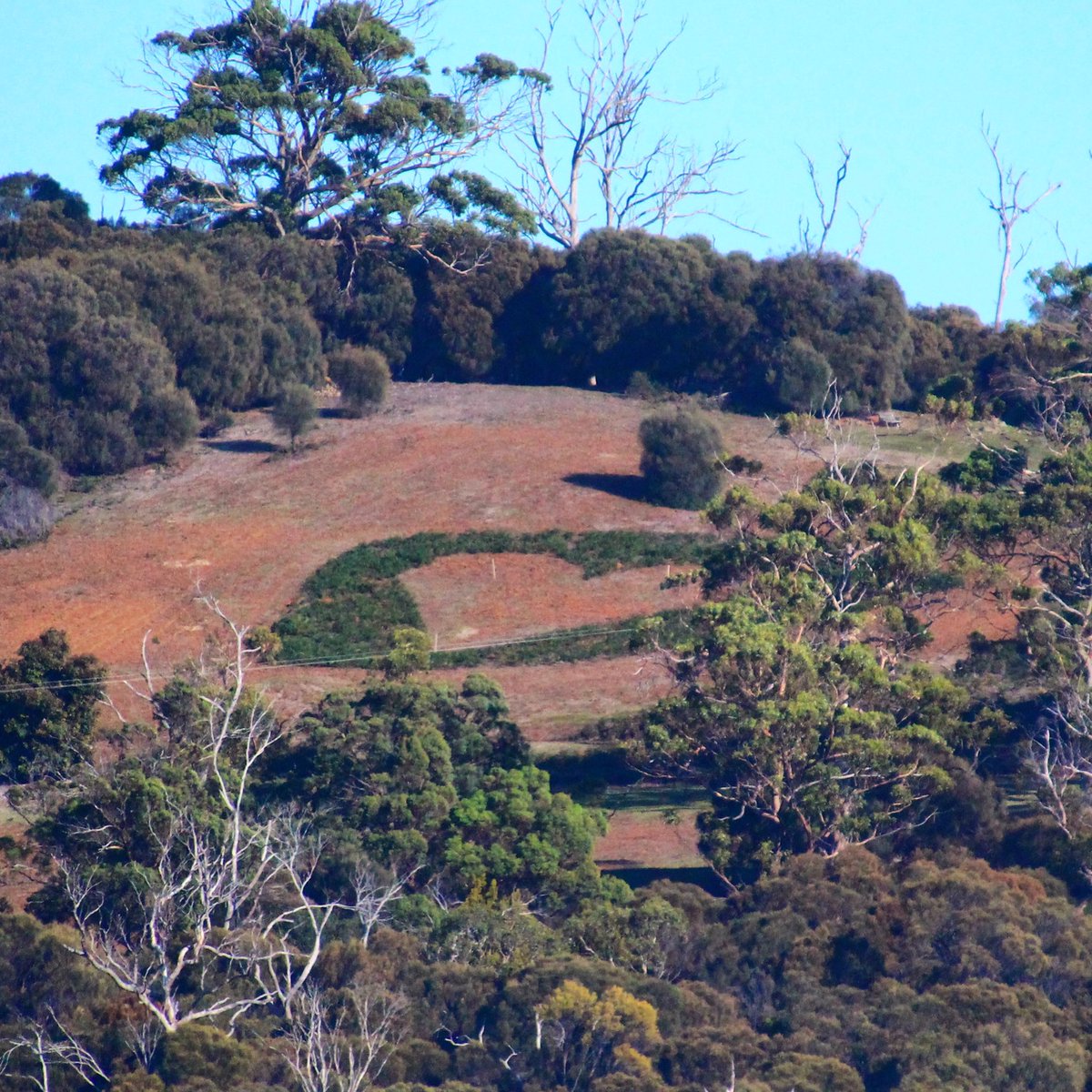 Sending hugs to the world from Tasmania’s Heart on the Hill, hand crafted by the farmers ❤️❤️ #tasmania #australia #heart