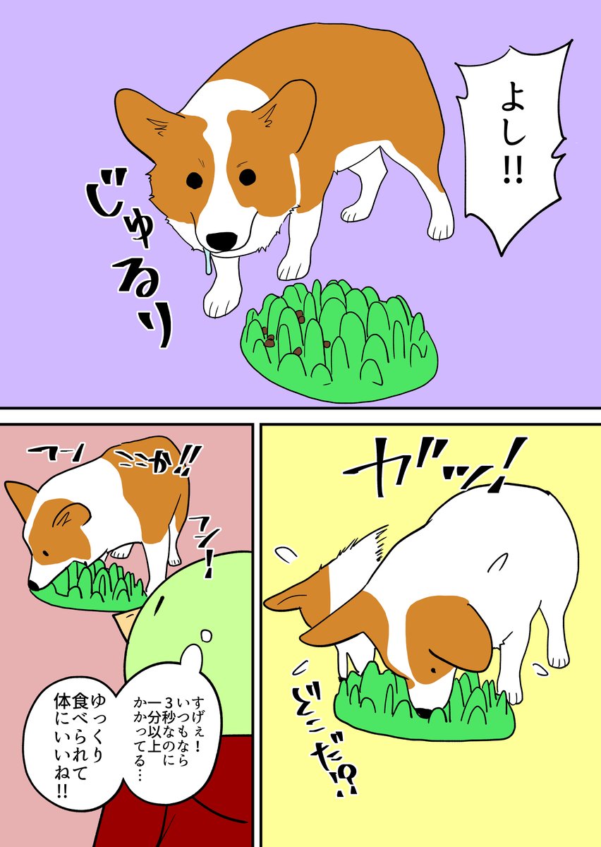 コーギーが食べるのに時間かかるやつ! 