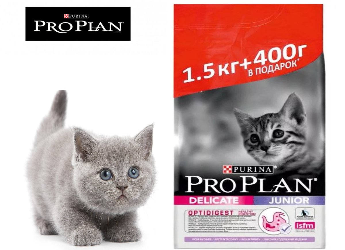 Pro plan 400 400. Проплан 400+400. Проплан для кошек 1,5кг+400гр. Pro Plan акция для кошек. Проплан для кошек акция.
