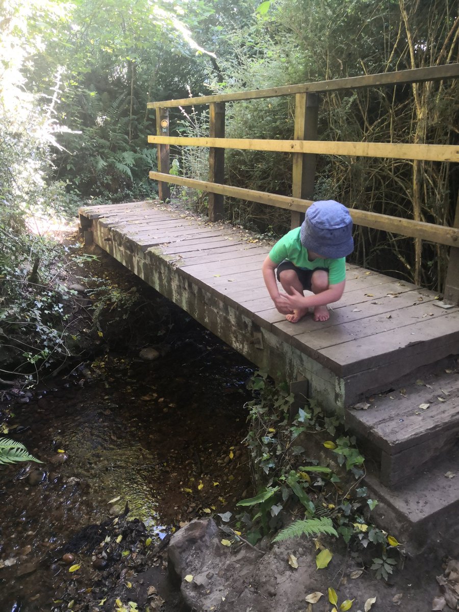 DevonDazeBlog's tweet image. Lovely #naturewalk and #paddle at #vennottery @Natures_Voice @DevonWildlife devondaze.co.uk/2018/05/21/ven… #homeschooling #walk #devonlife #raisingthemwild @devonwithkids #devondaze #adevonchildhood #devon #eastdevon #devonheaven #swisbest #LoveDevon
