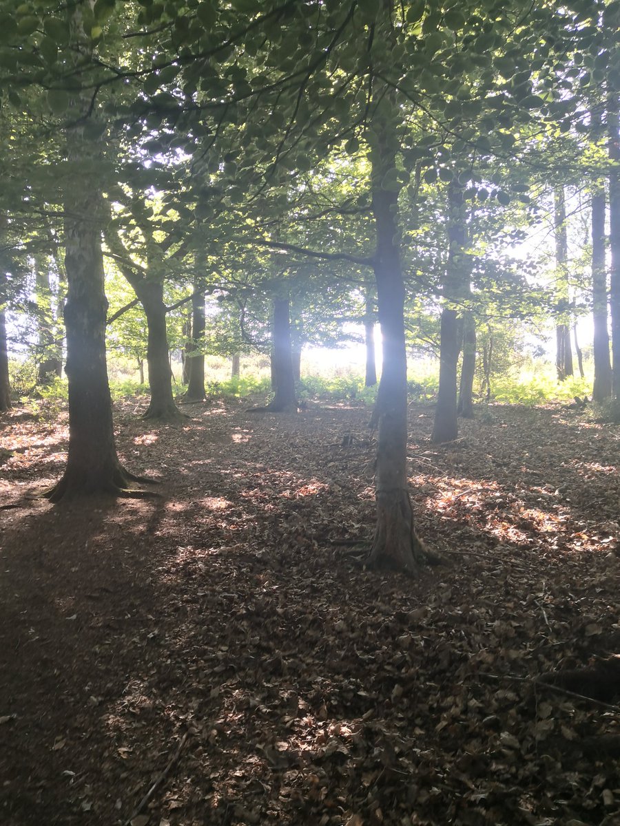 Lovely #naturewalk and #paddle at #vennottery @Natures_Voice @DevonWildlife devondaze.co.uk/2018/05/21/ven… #homeschooling #walk #devonlife #raisingthemwild @devonwithkids #devondaze #adevonchildhood #devon #eastdevon #devonheaven #swisbest #LoveDevon