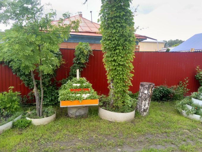 Красоты вам в ленту принёс. https://t.co/K9K6tqKR4u<a href="/tag/%D0%BC%D0%BE%D0%BD%D1%81%D1%82%D1%80%D0%B0%D1%86%D0%B8%D1%8F2020"class="tags"><span>#монстрация2020</span></a>