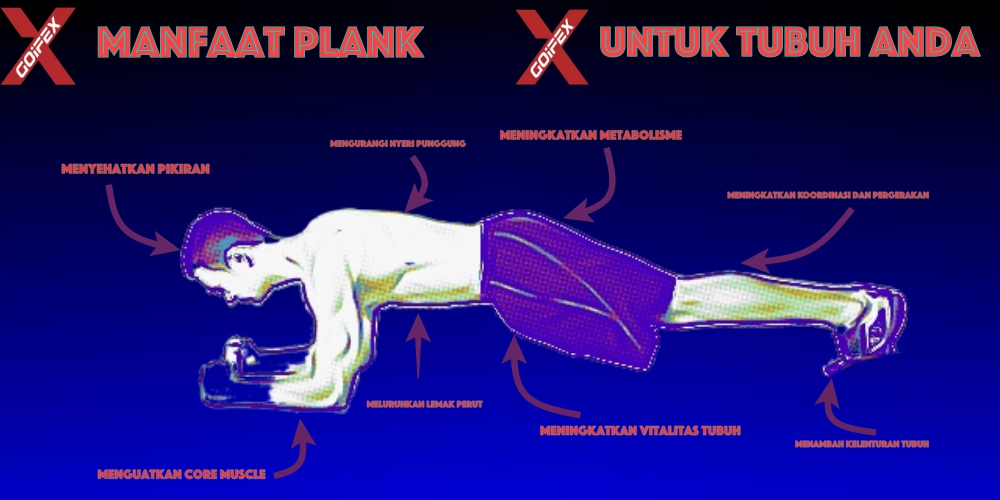 GOIFEX's tweet image. manfaat plank untuk tubuh. Sudahkah anda melakukan plank hari ini meski hanya 1 menit? ;) #plank #lifestyle  #GOIFEX