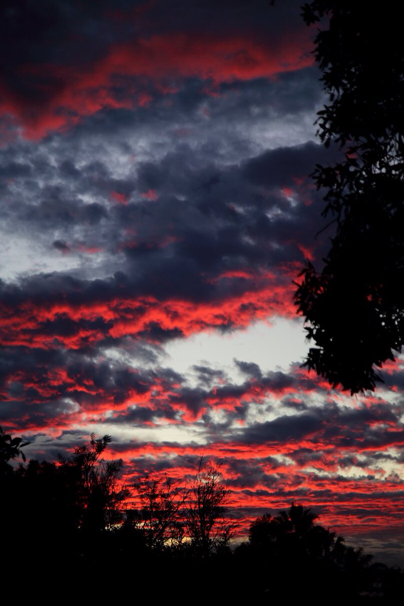 JazPeterFinn's tweet photo. Tonight’s sunset from the backyard. Nice to see some colour in the evening sky again.. #perthsunset #perthweather #redsky #Perth #sunsetsofperth #perthwinter https://t.co/mI8omv1Xyi