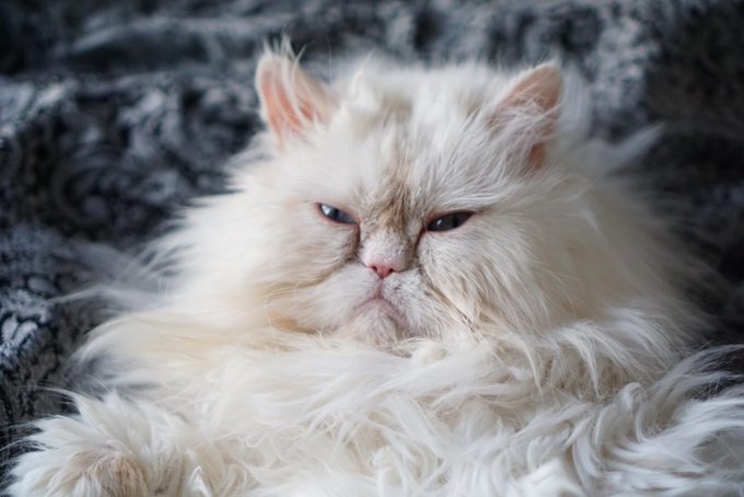 A lot of people don&rsquo;t seem to understand activism. Im seeing so many hypocrites. #weseeyou https://t<a href="/tag/weseeyou"class="tags"><span>#weseeyou</span></a>