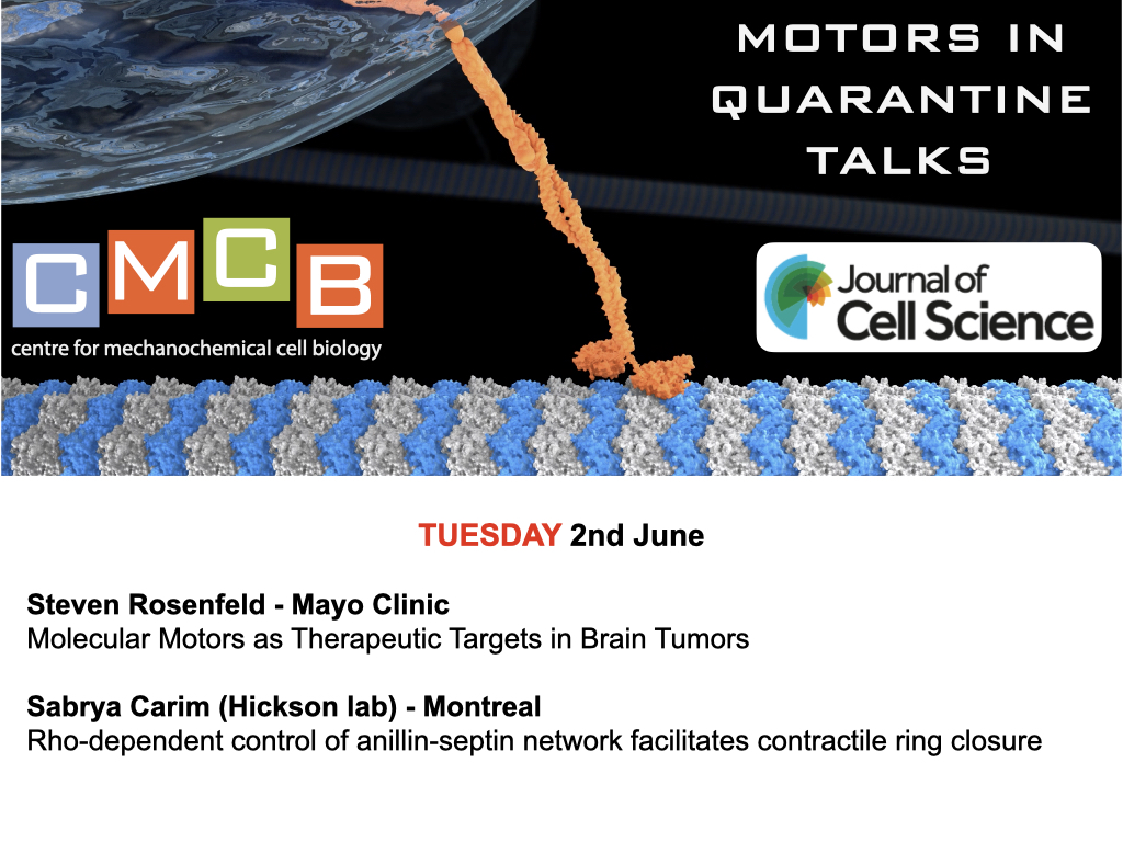 Don't forget, #MotorsInQuarantine is today instead of Wednesday this week so that we don't clash with #EESMTs Set to be another great one! Last minute registrations, as well as on-demand viewing up to 48 hours after, available here: mechanochemistry.org/whatson/MiQ/