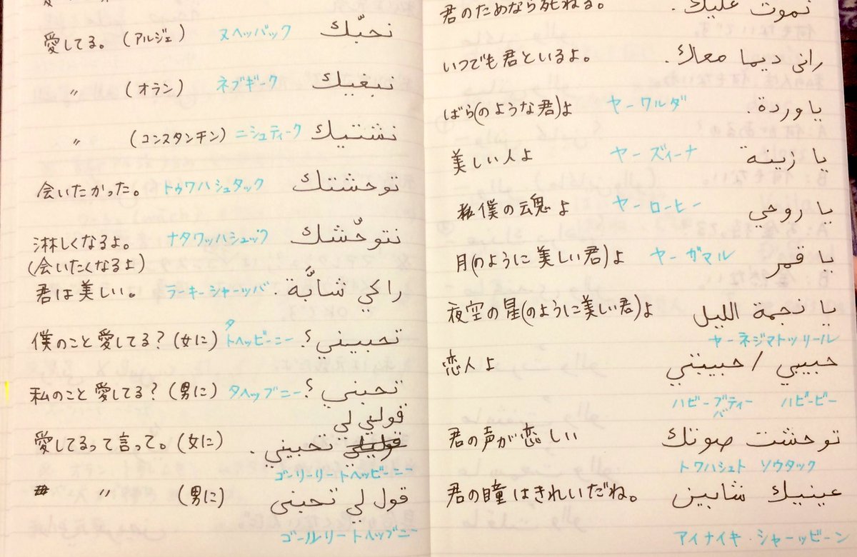 アラビア単語道場 Auf Twitter 良い言葉もちゃんと紹介しておこう 2枚目は映画とかドラマのセリフを書き写しただけで残念ながら現実に使う機会はありませんでしたけどね