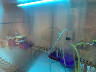 UV light shining over a lab prep area
