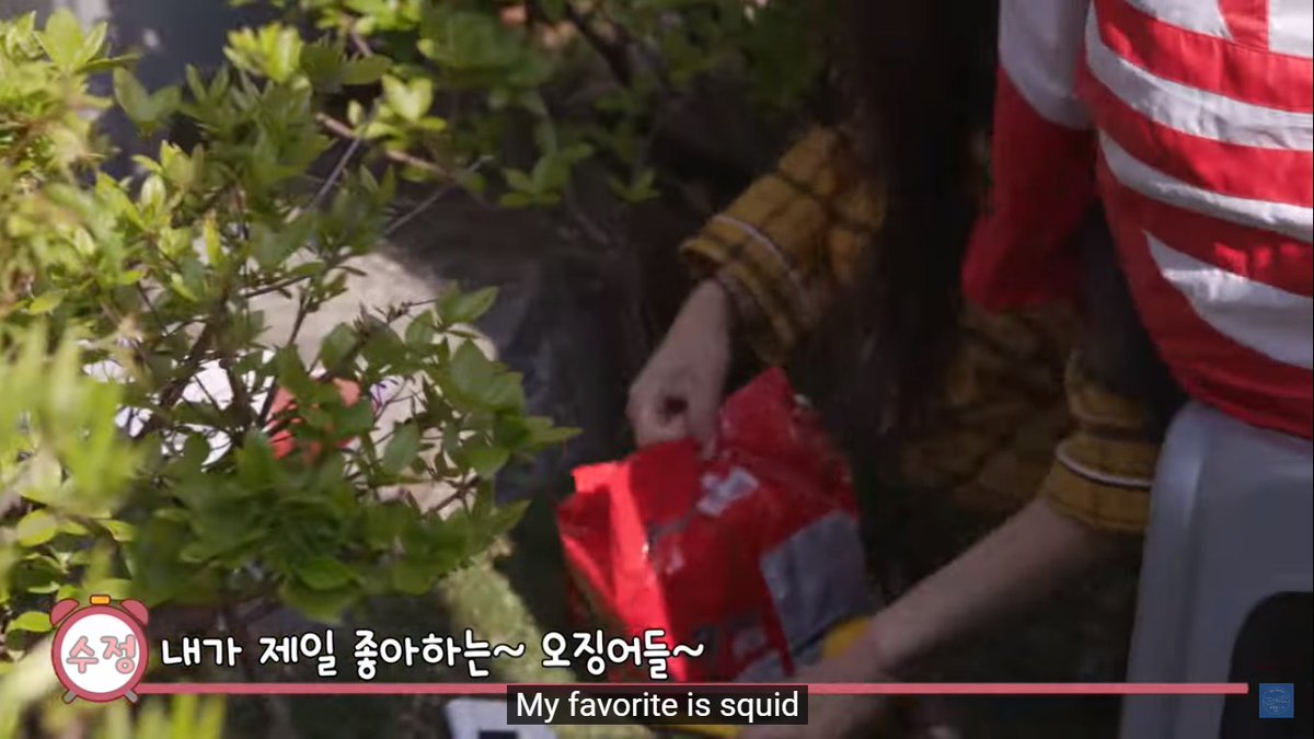 mijoo tried to steal the other food and look at how unbothered the members are like it's completely normal 