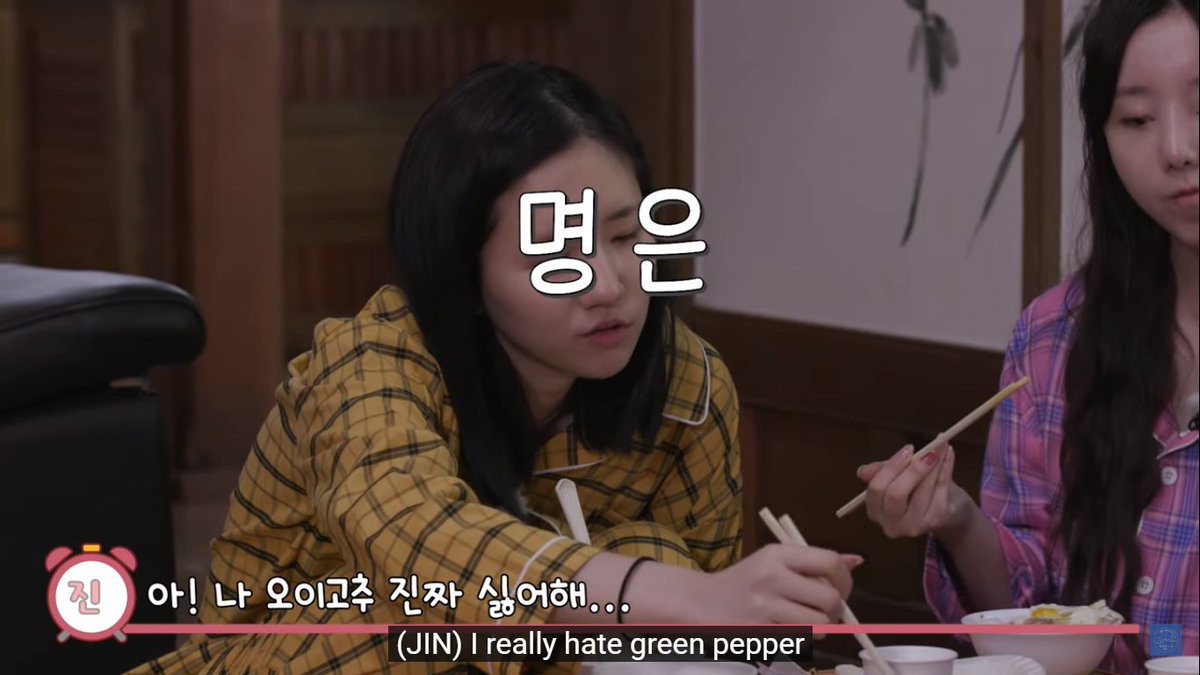 myungeun refused to put on some makeup and the pd said thisㅡ they really covered her face with her name all the time lol