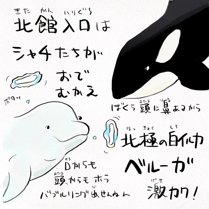 マツコの知らない世界でやってる
#名古屋港水族館 は深海ギャラリーが怖い…!! 