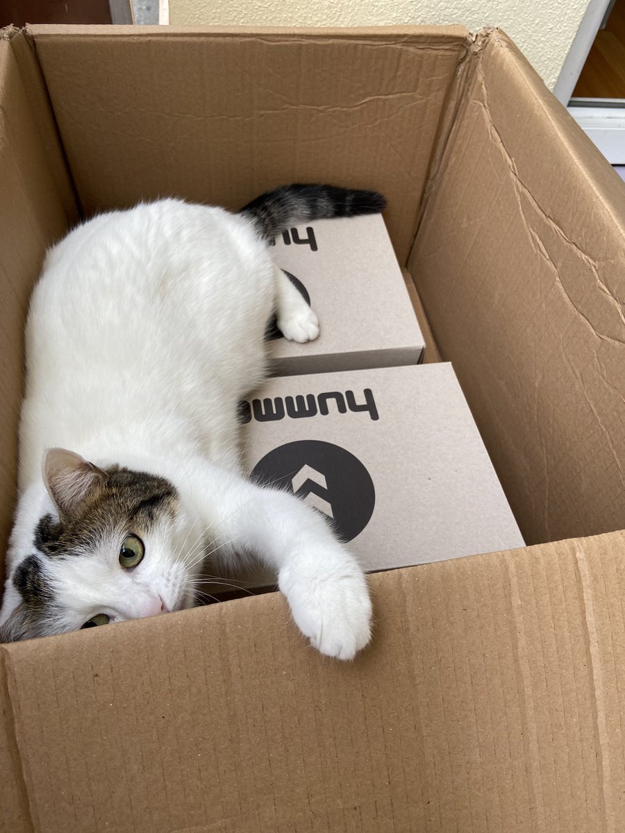 Yine bir kargo rezaleti :p 

<a href="/hummelturkey/">hummel Turkey</a> 
<a href="/YurticiKargo/">Yurtiçi Kargo</a>