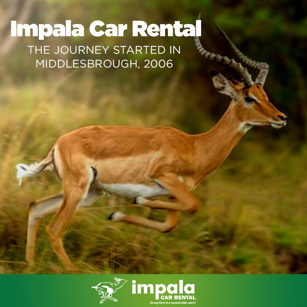 Impala Car Rental Search Zimbabwe