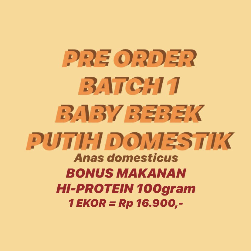 BaperanBebek's tweet photo. ⚠️⚠️ BREAKING NEWS ⚠️⚠️
PENAMBAHAN SLOT PRE ORDER

STOK BABY BEBEK KAMI TAMBAHKAN HANYA 10 EKOR, TIDAK ADA PENAMBAHAN SLOT KUOTA PRE ORDER SETELAH INI, UPDATE STOK PUKUL 19:45 WIB

‼️ Bagi yang belum kebagian dapat mengikuti pre order selanjutnya (minggu depan) ‼️ https://t.co/h1eEJ0UFbS