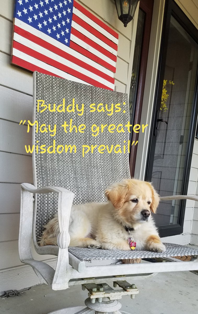 labyrinthguy's tweet image. 